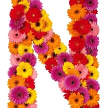 g***r