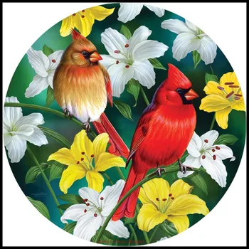 

Embroidery Counted Cross Stitch Kits Needlework - Crafts 14 ct DMC Color DIY Arts Handmade Home Decor - Cardinals in the Round