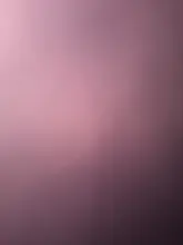 E***a