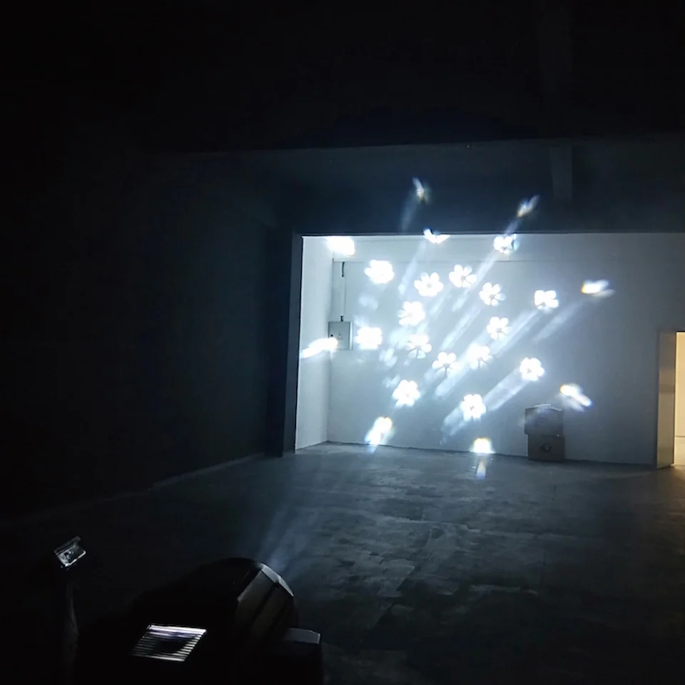 IMG20190311153150