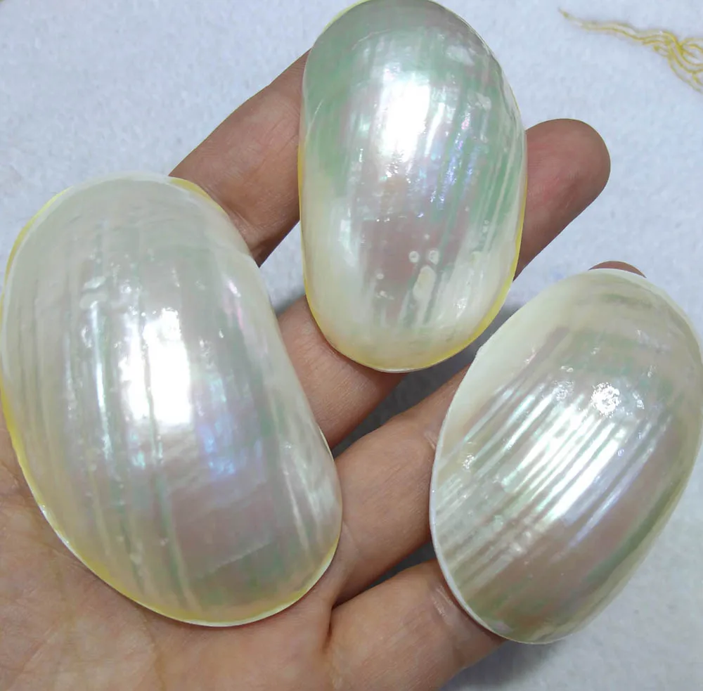 

Large 25-50mm Genuine Pearl Shell Jewelry Pendant Nuggets Screw Carved Leaf Charm Natural Mop Shell Art -2pcs