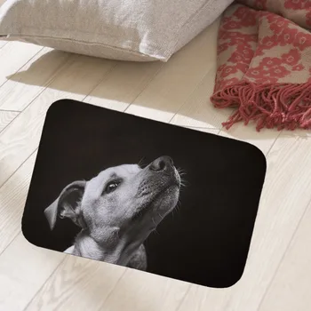 

Lovely cat 40x60cm floor mat hallway doormat suede Welcome entrance door mat anti-slip water Water absorption carpet dog zebra