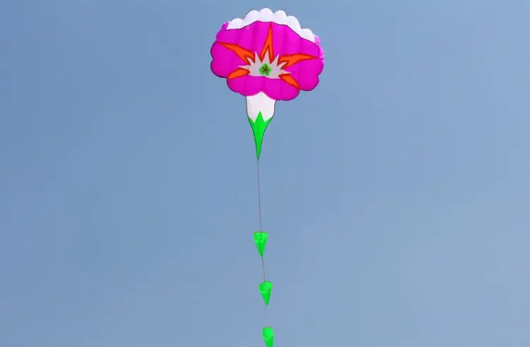 TB2l.bkim8mpuFjSZFMXXaxpVXa_!!274004867