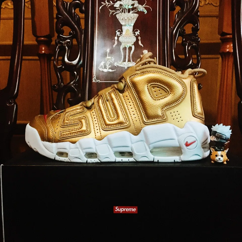 scottie pippen supreme