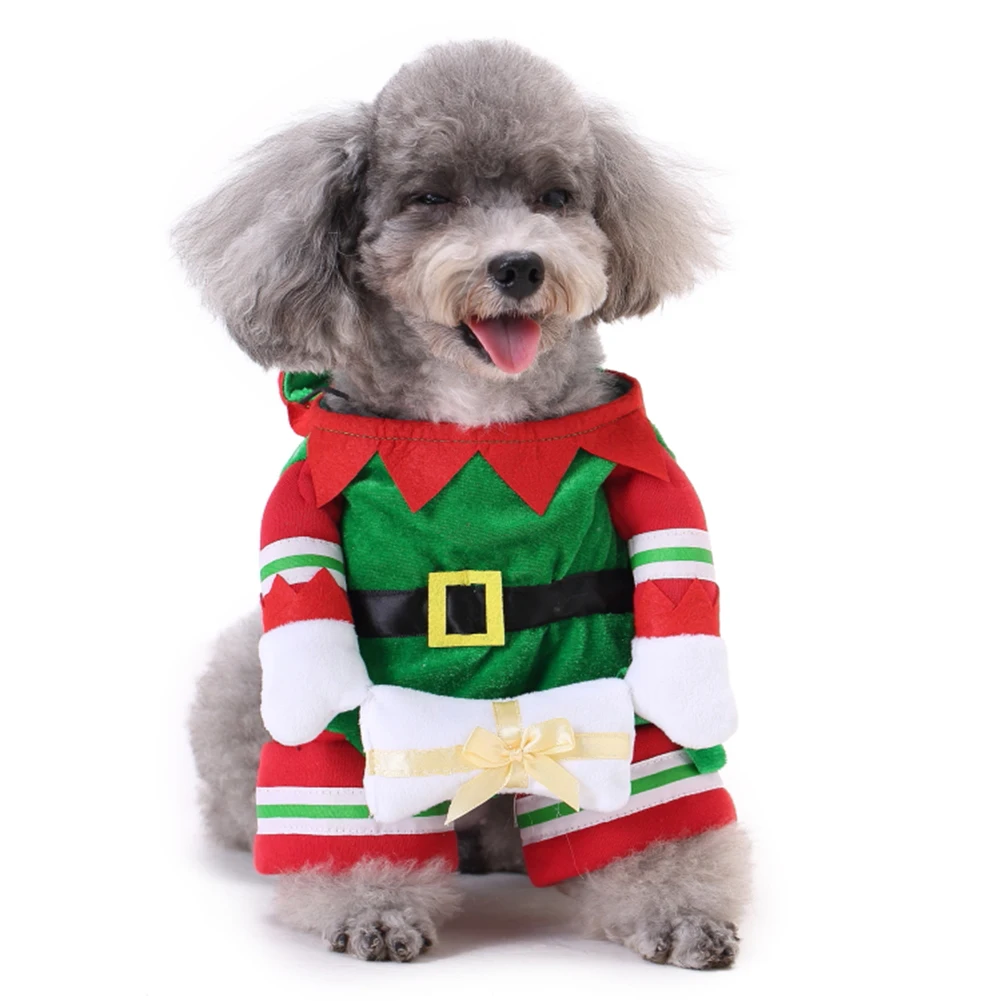 dog in elf costume