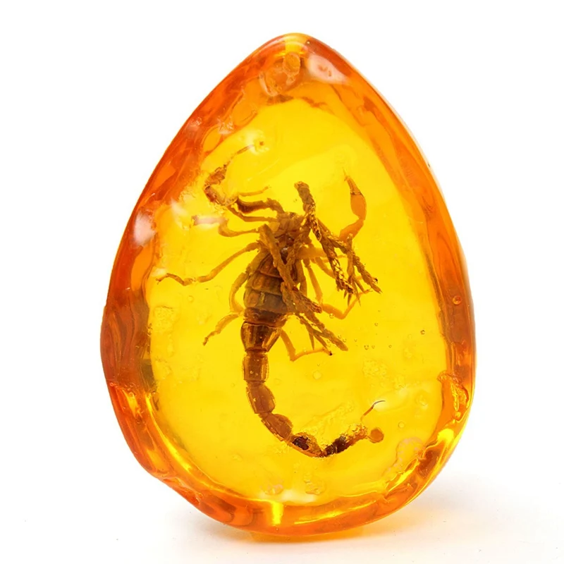KiWarm натуральные скорпионы насекомые включение янтарного Балтийского