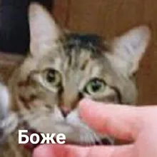 l***l