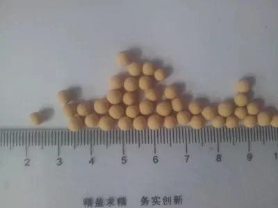 ZSM 5 Zeolite/Сферический 100g|Гайки| |