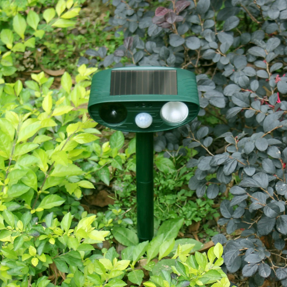GS0500-9