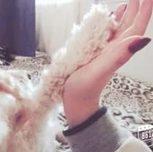 m***a
