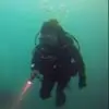 v***z