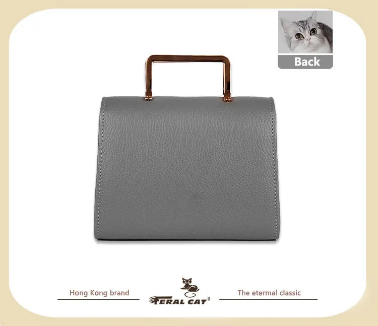 FERAL CAT Fashion Handbag 2017 Women Leather Handbags Luxury Bags Designer High Quality96