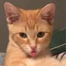 S***o