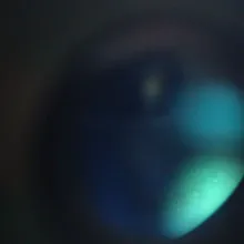 g***r