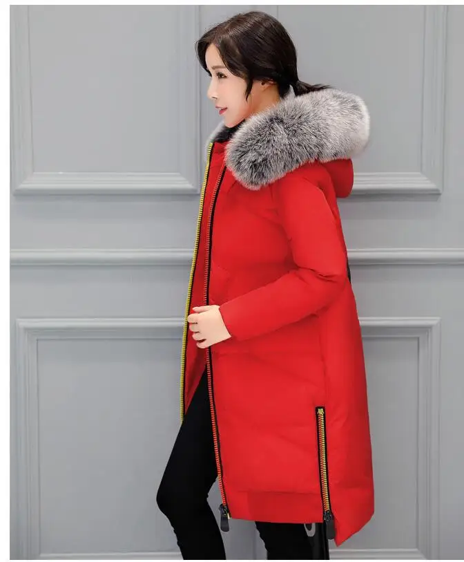 QQ20181008140117