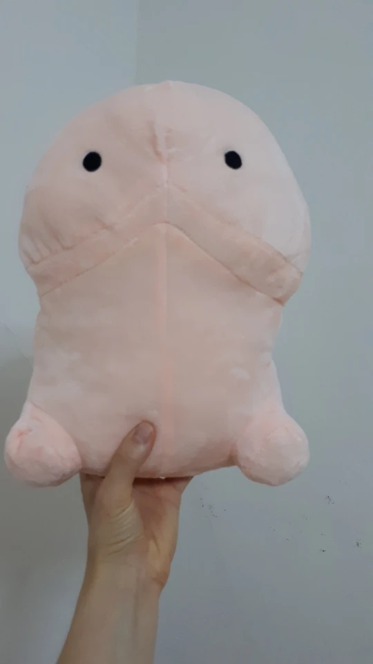 ding ding plush