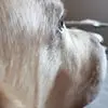 a***z