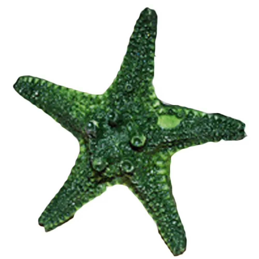 1 шт. Высокое качество пляж смешанный Цвет Overlord пару звезды Star Fish ремесло Таблица Декор аквариум - Цвет: gr