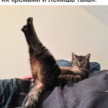 L***k