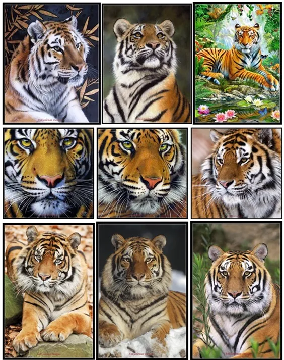 

Embroidery Counted Cross Stitch Kits Needlework - Crafts 14 ct DMC Color DIY Arts Handmade Decor - Tiger Collection