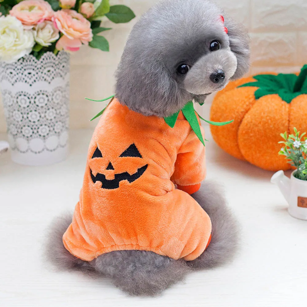 Buy Pumpkin Dog Halloween Costume Clothes Pet Suit For