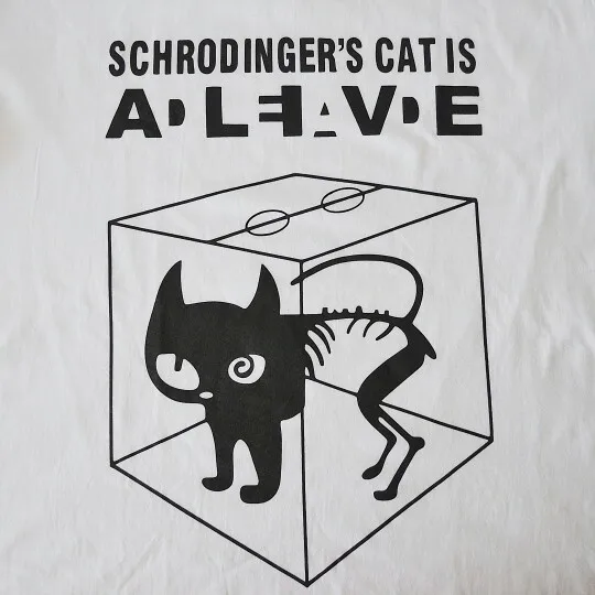 Парадокс кота шредингера. Шредингер кот. Кот шредингера арт. Шредингер кот. Парадокс кота шредингера простыми словами.