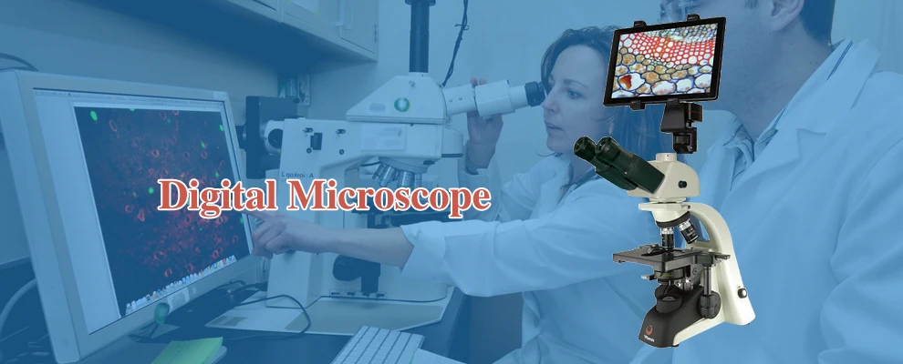 Pherix 40X-1600X Профессиональный бинокулярный микроскоп план объектива четкие изображения для наблюдения труда биологическая наука микроскопия