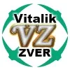 v***v