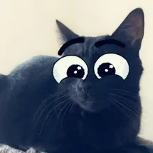 s***i