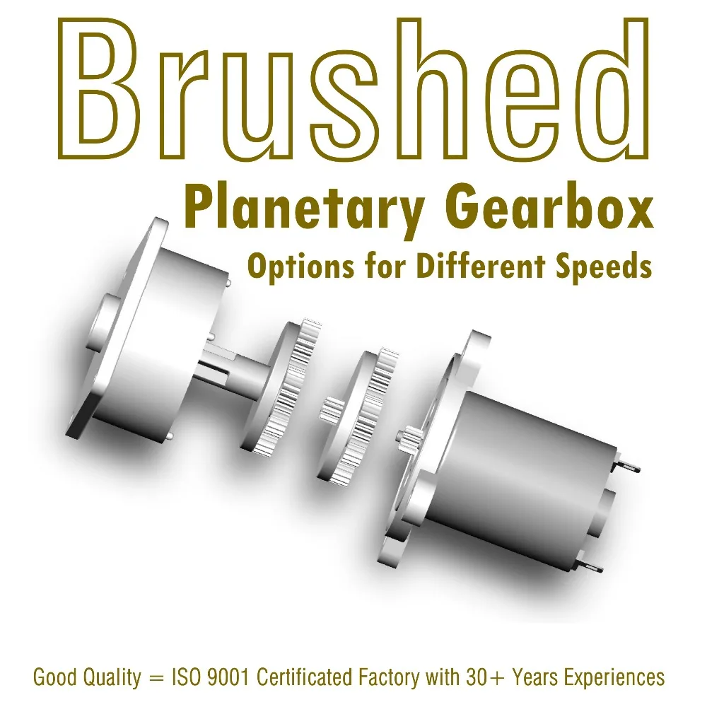 Brush Motor with gearbox