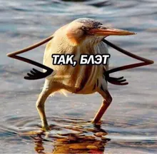 a***a