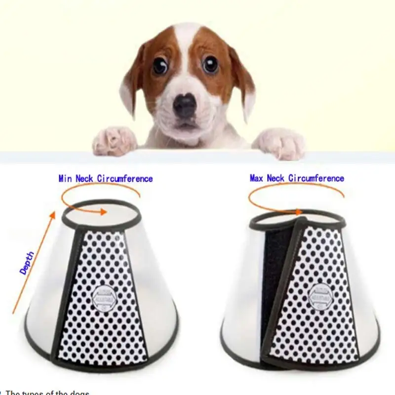 Plastic Cone Pet Products Anti Bite And Scratching Elizabeth Collar For Cats Elizabeth Circle Dog Protection Beauty Healing E