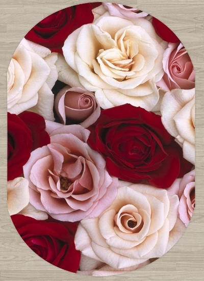 Else красный белый розовый розы Цветочные Цветы 3d узор принт Нескользящая микрофибра гостиная современный Овальный моющийся ковер
