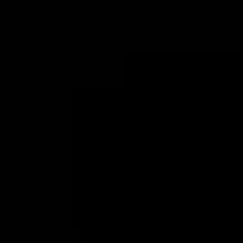 E***.
