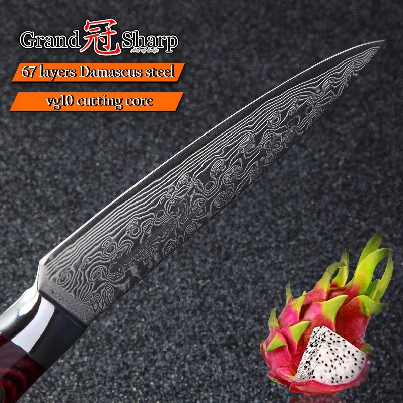  Steak Knife Set 4 pcs Damascus Kitchen Knives vg10 Japanese Damascus Steel Utility Knives 67 Layers - 32941226992