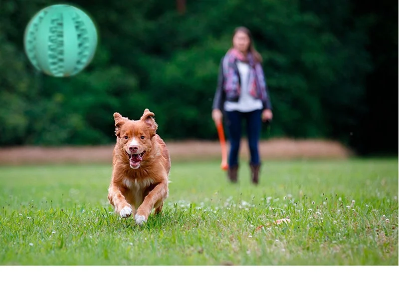 treat ball