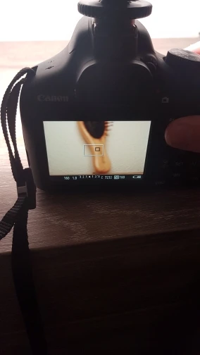 viltrox l116t отзывы