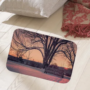 

New European style Home Decorative Front Door Mat scenic Printed Flannel Anti-Slip Floor Mat Carpet Entrance Doormat Rug 40x60cm