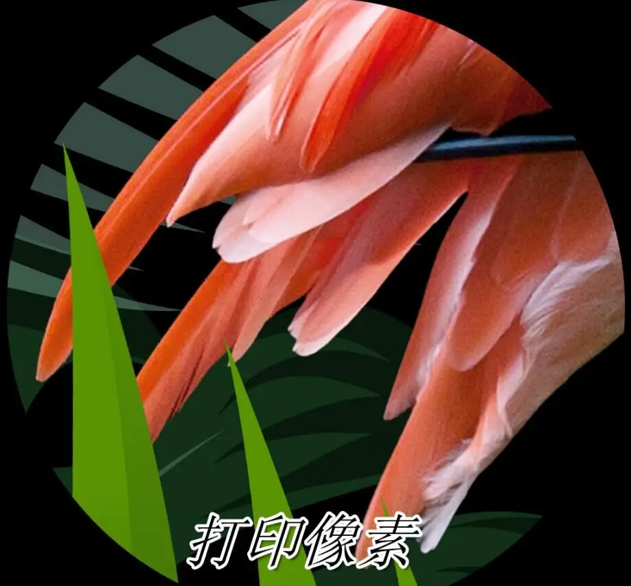 QQ20180529191808