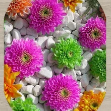 Еще розовый зеленый цветы на инструмент для ухода за мтоциклом 3d принтом Нескользящие из микрофибры Гостиная современные Овальный моющийся коврик ковер