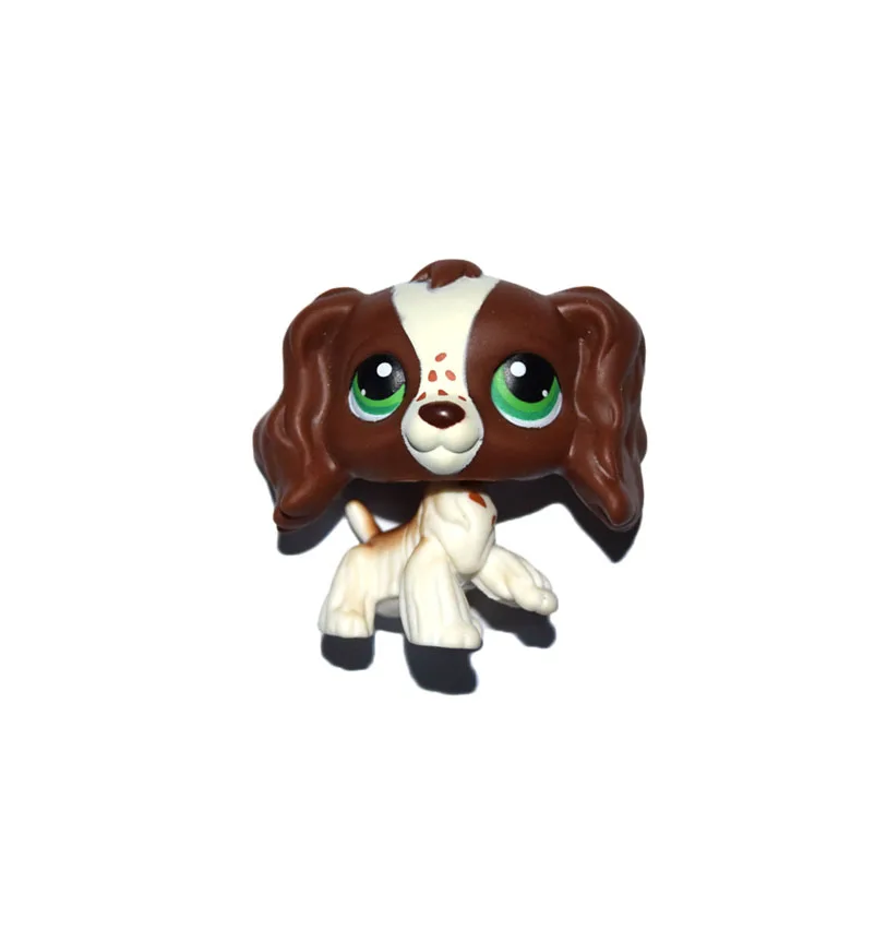 ChocolateBrownCoker
