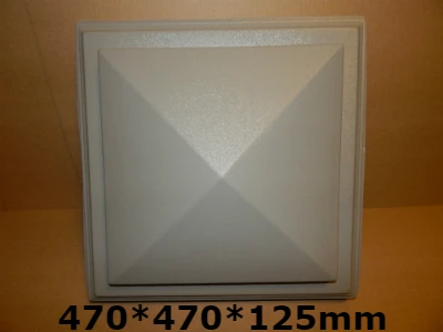 DSCN4971 4002