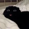 I***a