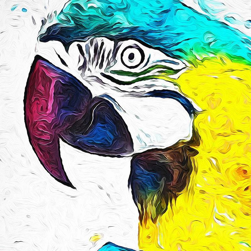 9026695753_850760486