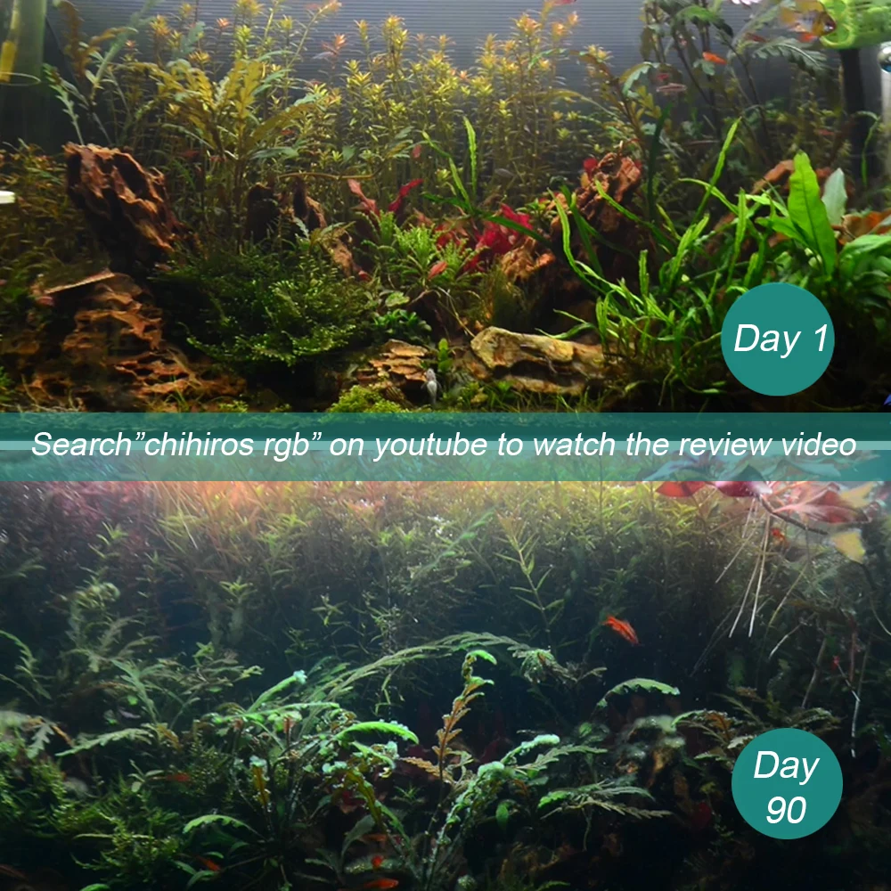 chihiros wrgb aquarium light