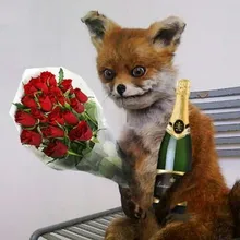 O***V