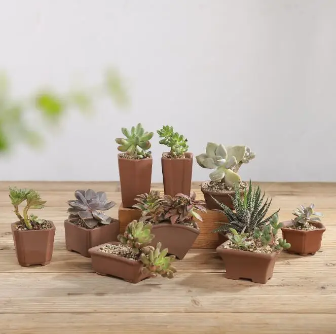 

TECHOME Personality Breathable Mini Succulents Plant Creativity Ceramics Nursery Pot Home Garden Decor
