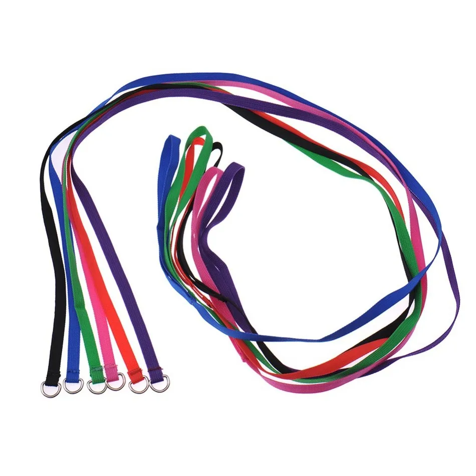 harness lead leash