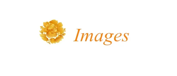 Images