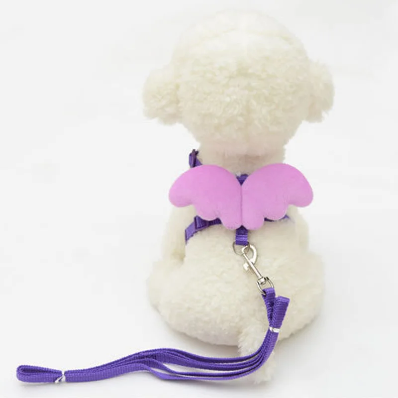Cute-Angel-Pet-Dog-Leashes-and-Collars-Set-Puppy-Leads-for-Small-Dogs-Cats-Designer-Wing (3)
